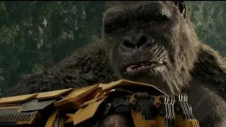 KONG BEAST GLOVE SCENE | GODZILLA X KONG: THE NEW EMPIRE