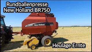 Rundballen pressen | New Holland BR750 | fofftein