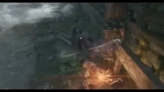 Sekiro hitbox