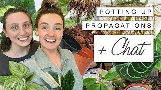 Pot Propagations With Us + Chill 💚 Repot and Chat With @GoodGrowing