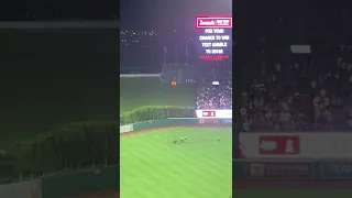 Fan Runs on Field at Angels Game 8/15/22