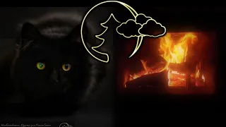 Релакс, Мурлыканье кошки у камина для сна Relax, Cat purring by the fireplace for sleeping #7