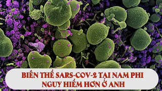 Biến thể Sars-Cov-2 tại Nam Phi nguy hiểm hơn ở Anh | VTC16