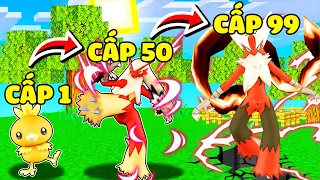 JACK EM BÉ GÀ LỬA CẤP 1 TIẾN HÓA THÀNH GÀ LỬA MEGA CẤP 99 TRONG MINECRAFT*POKEMON BLAZIKEN SIÊU MẠNH