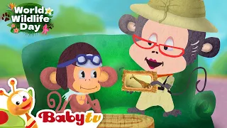 Elephant 🐘  | Animals for Kids | Wild Animals | Full Episode @BabyTV