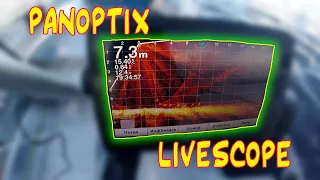 Panoptix LiveScope. Тестовая рыбалка. Рыбалка в Финляндии