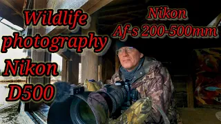 Wildlife photography with the Nikon AF-S 200-500 f5.6 and d500