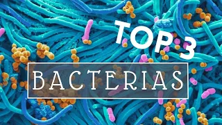 Las mejores BACTERIAS para tus plantas ! 🦠🌿