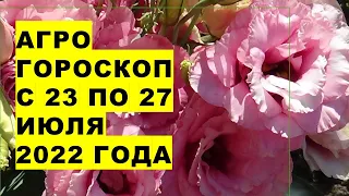 Агрогороскоп с 23 по 27 июля 2022 года