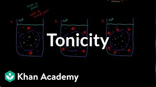 Tonicity - comparing 2 solutions | Lab values and concentrations | Heatlh & Medicine | Khan Academy