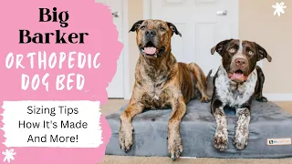 Best Orthopedic Dog Beds For Large Breeds: Big Barker Dog Bed Review