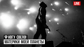 Ногу Свело! - Материки Моей Планеты (Live) 2019