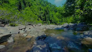 The sound of running water, a beautiful lake deep in the forest