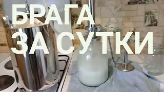 Как сделать брагу за сутки