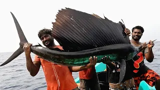 Catching Sail Fish, King Fish & Mahi Mahi Fish in the Deep Sea