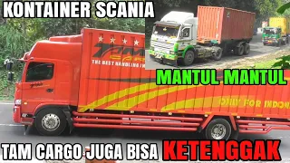 Kardus Balap Tam Cargo Juga Bisa Ketenggak, Scania Mantul Mantul, Giga Hino Fuso Muatan Berat