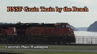 BNSF Grain Train by the Waterfront