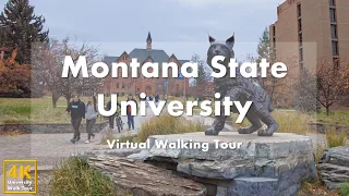 Montana State University - Virtual Walking Tour [4k 60fps]