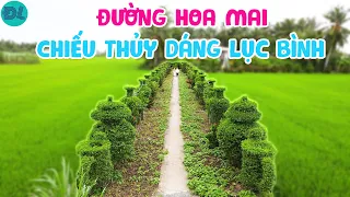 Con đường độc đáo nhất Việt Nam dẫn vào nhà anh nông dân Miền Tây - ĐỘC LẠ BÌNH DƯƠNG