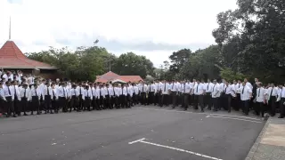 Dilworth Haka