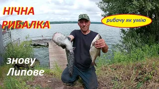 Нічна рибалка на сома і ляща.