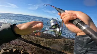 Float fishing for pelagics in Winter | Rock Fishing | Bait fishing Sydney, NSW Australia