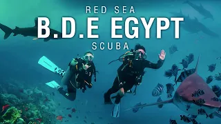 RED SEA 2021 | BDE Trip Scuba Diving Liveaboard in Egypt