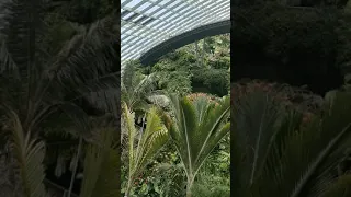 Gardens by the Bay, Singapore