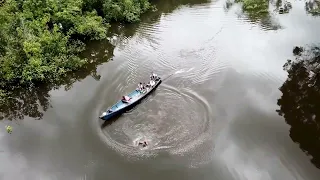 Delfines • Isla de los micos • Amazonas Leticia Esariri Colombia