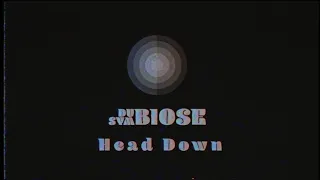 Dubiose Symbiose - Head Down