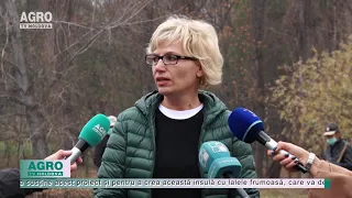 În curând, la Grădina Botanică, va fi amenajată o insulă cu 40 000 de lalele – AGRO TV News