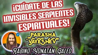¡CUÍDATE de las INVISIBLES SERPIENTES Espirtuales? - Parashá "VAYÉSHEV" | Rabino Yonatán Galed