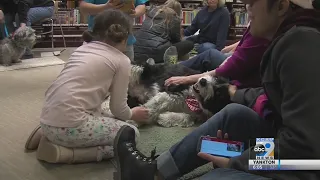 Kids Practice Reading To Dogs