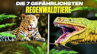 Die 7 gefährlichsten Tiere des Amazonas Regenwaldes