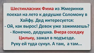 ✡️ Фима из Жмеринки Поехал к Деду в Хайфу! Еврейские Анекдоты! Анекдоты про Евреев! Выпуск #131