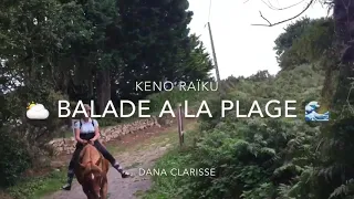 Balade-plage~Dana&Clarisse