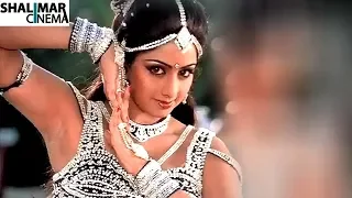 A Tribute to Sridevi  || All Time Evergreen Super Hit Video Songs Jukebox || Sridevi Video Songs