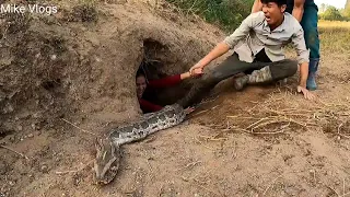 Brave guy when he meets snakes | Mike Vlogs