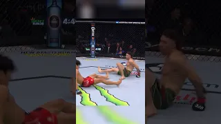 🤯 Двойной НОКДАУН в UFC… Редчайший случай в бою!