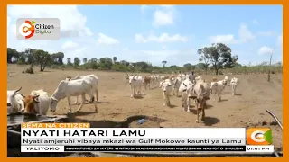 Nyati kumjeruhi vibaya mkazi wa Gulf Mokowe kaunti ya Lamu