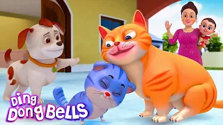 म्याऊं म्याऊं बिल्ली करती |  Meow Meow Billi Karti v2 | Hindi Rhymes for Children | Ding Dong Bells