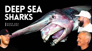 Why Sharks Get Creepier the Deeper You Go REACTION!! | OFFICE BLOKES REACT!!