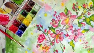 Cherry Blossoms in Watercolor tutorial