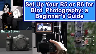 Set Up Your EOS R5 or R6 for Bird Photography: Must Make These Changes Before You Go Birding!