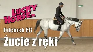 Porady LuckyHorse.pl - odc.66 - Żucie z ręki