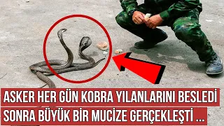 Acemi Asker Her Gün Kobra Yılanlarını Besledi, Sonra Büyük Bir Mucize Gerçekleşti