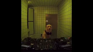 Dj dog Aphex Twin 180db_[130]