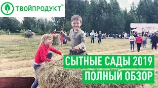 Сытные сады - 2019. Как это было