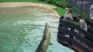Robert Irwin's 18th Birthday Full Croc Show | Australia Zoo