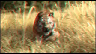 The Jungle Book Trailer  RC 3D